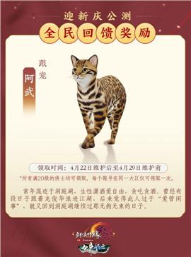 天龙八部私服双职业